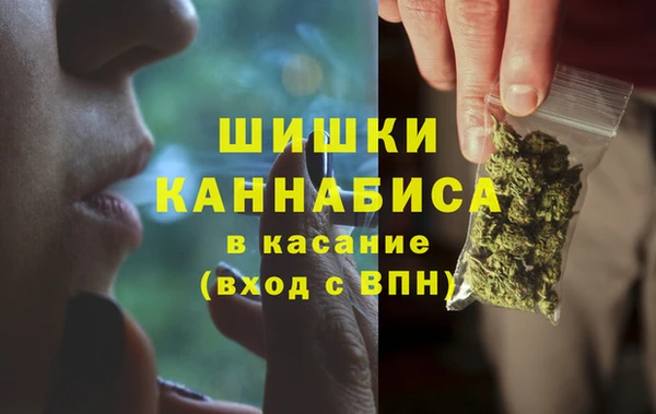 индика Белоозёрский