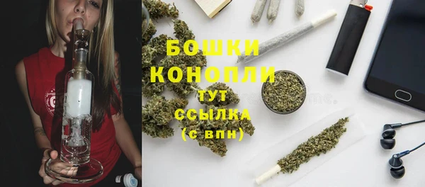индика Белоозёрский
