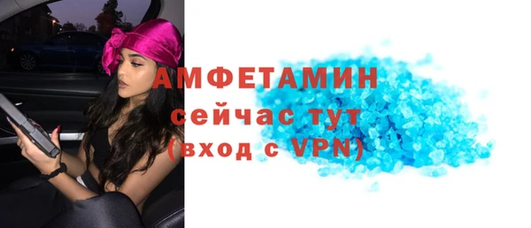 индика Белоозёрский