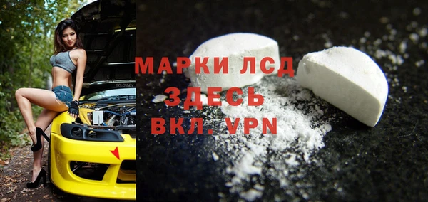 стаф Беломорск