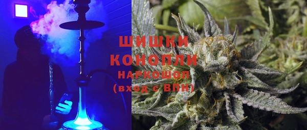 индика Белоозёрский