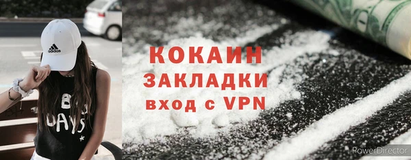индика Белоозёрский