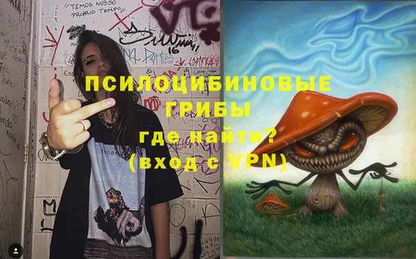 2c-b Белокуриха