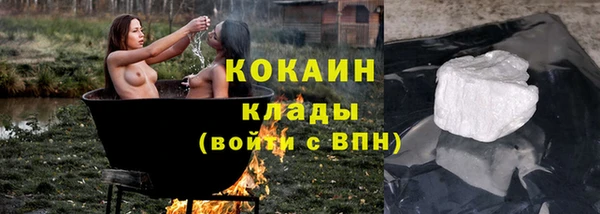 индика Белоозёрский