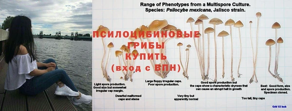 2c-b Белокуриха