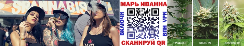 Конопля AK-47  где купить наркоту  Берёзовка 